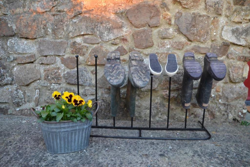 Cattle Shed Cottage Narberth Zewnętrze zdjęcie
