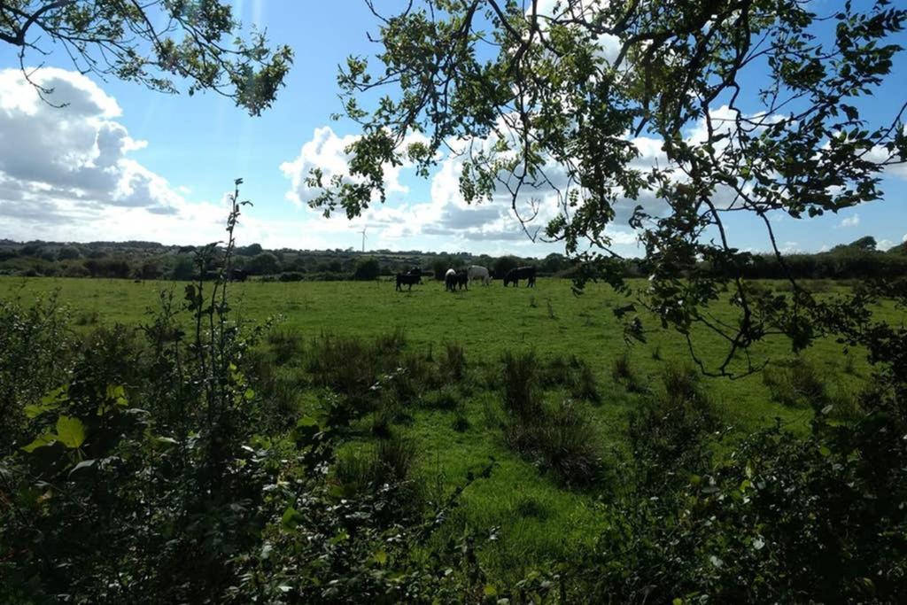 Cattle Shed Cottage Narberth Zewnętrze zdjęcie