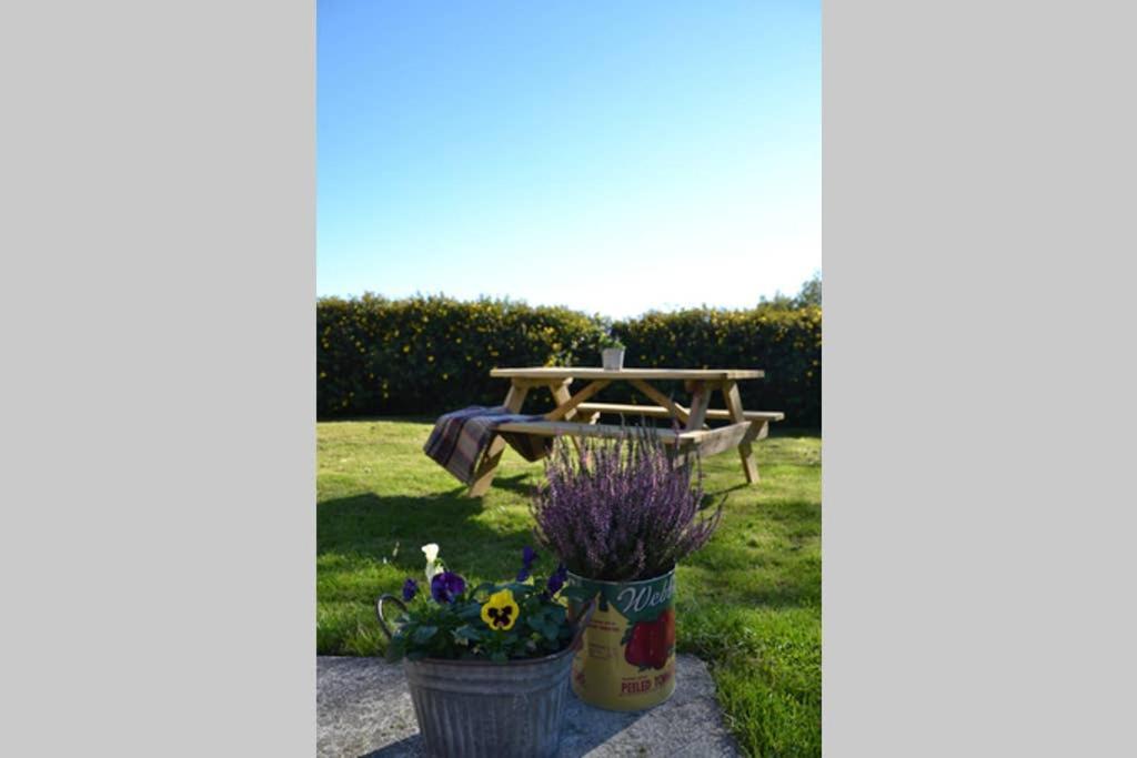 Cattle Shed Cottage Narberth Zewnętrze zdjęcie